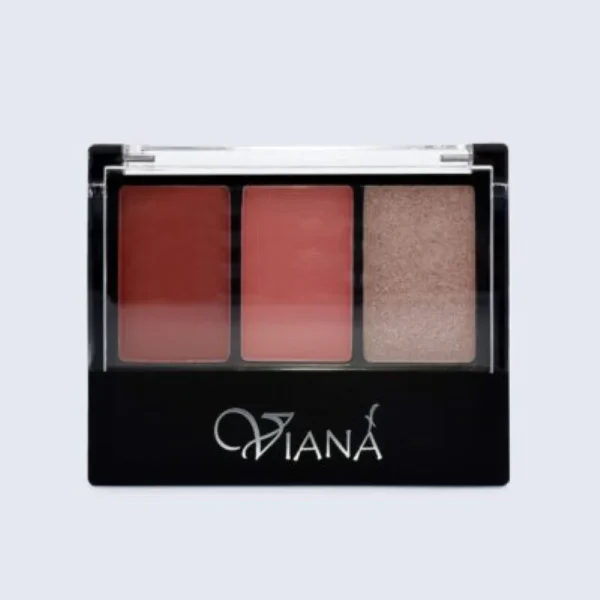 Viana Blusher Three Colors Spicy Cinnamon 01