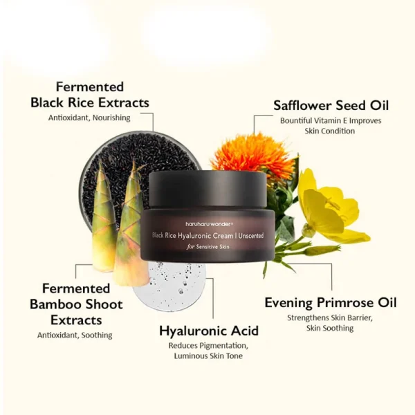 Haruharu - Black Rice Hyaluronic Cream Unscented 50ml - Image 2